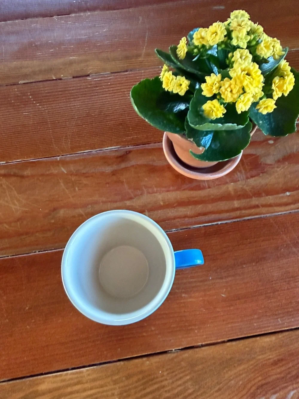 Le Creuset Blue Gradient Mug with Cream Interior - Picture 2 of 7